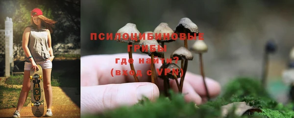 jwh Абаза